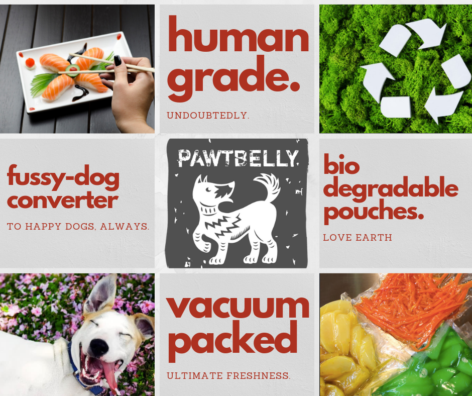 Monthly Subscription: Pawtbelly LITE